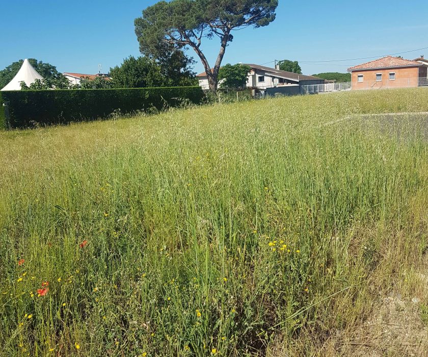 TERRAINS  dans lotissement