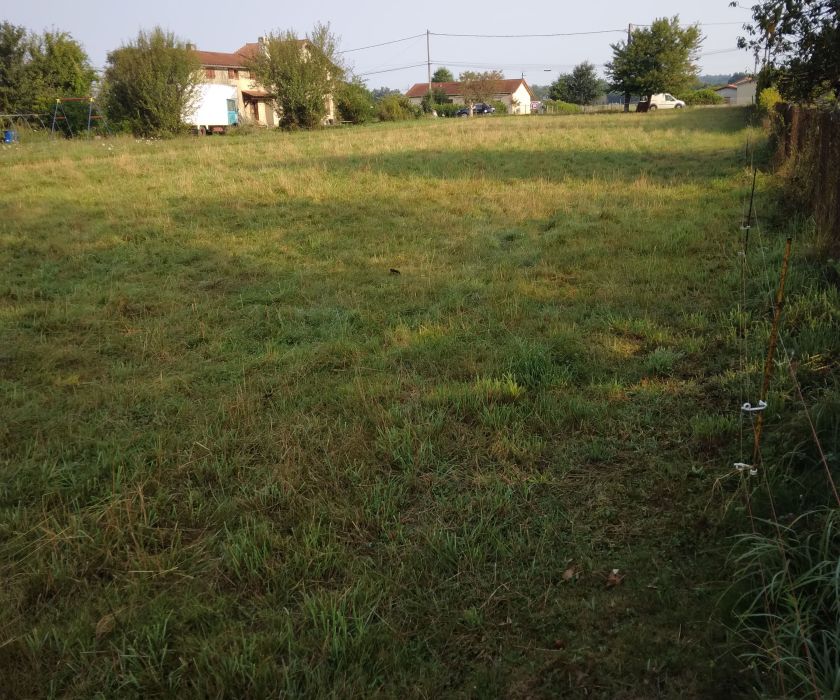 Beau terrain plat