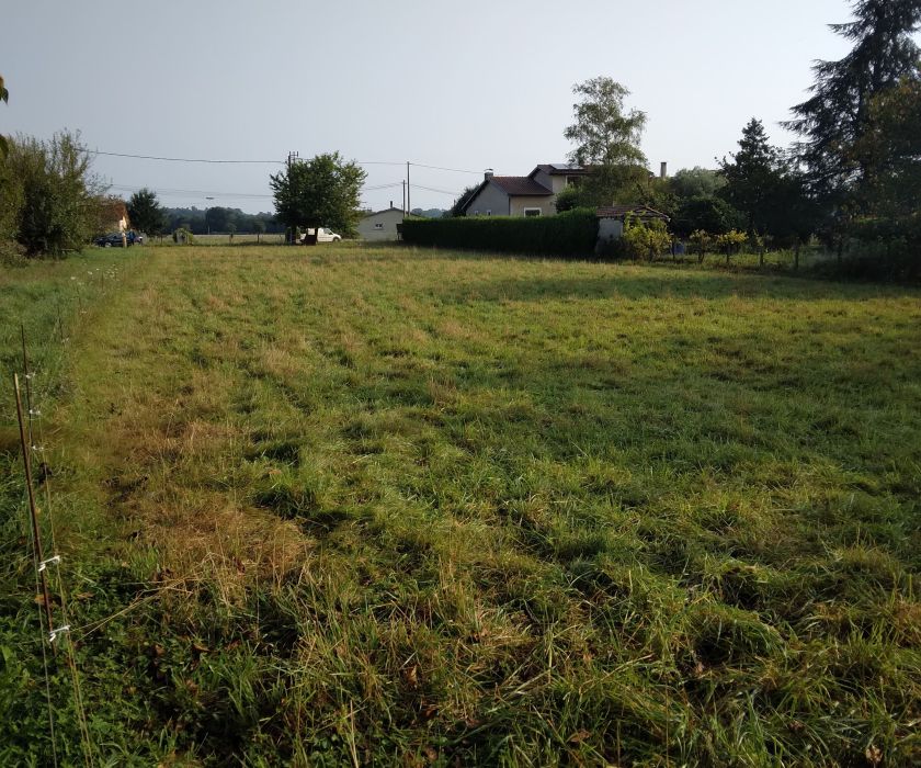 Beau terrain plat