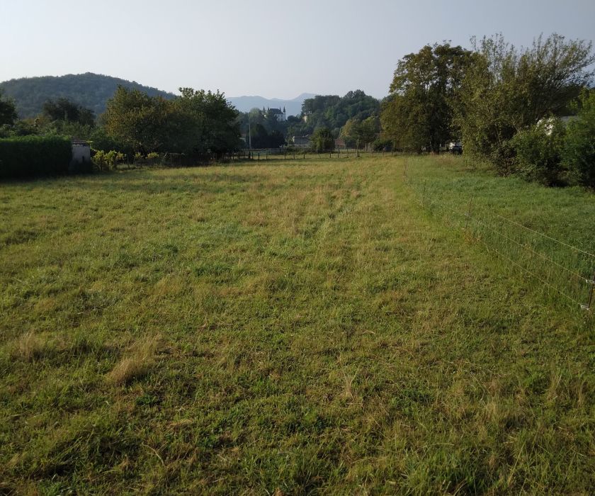 Beau terrain plat