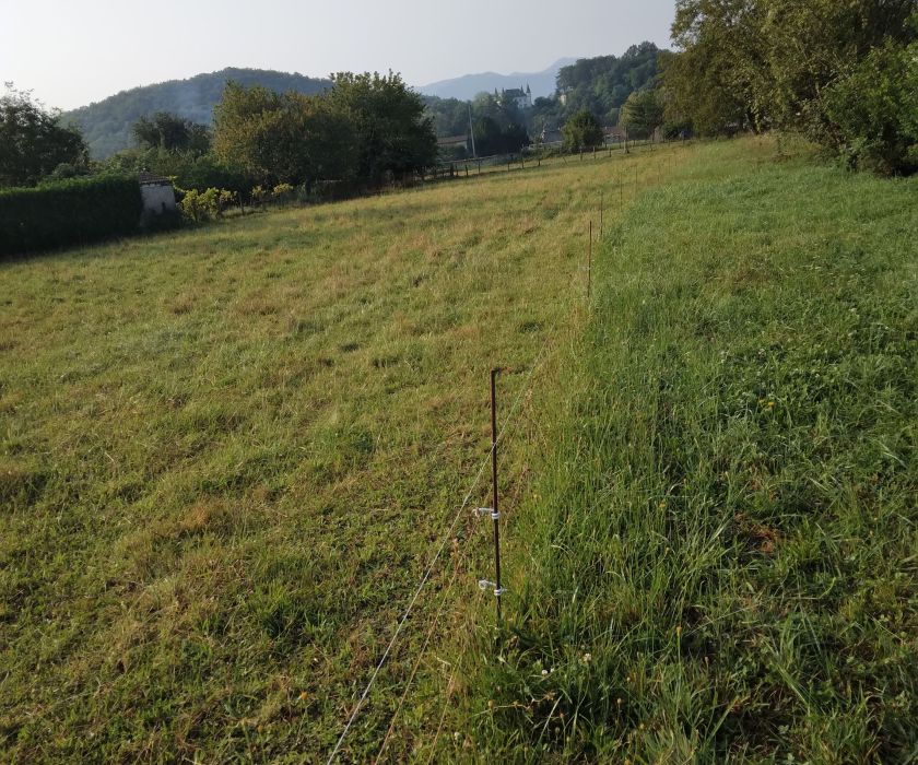 Beau terrain plat
