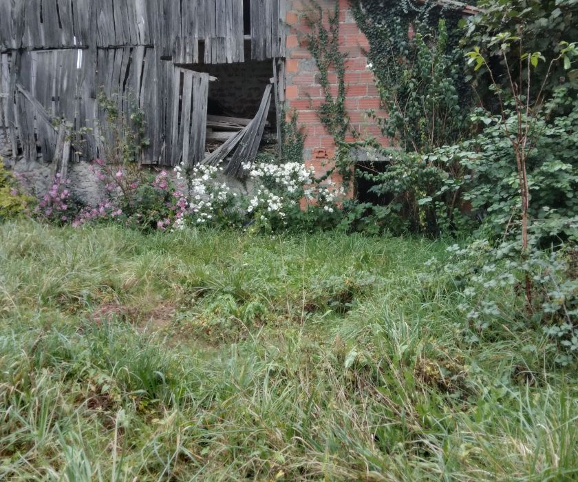 Grange avec garage et terrain