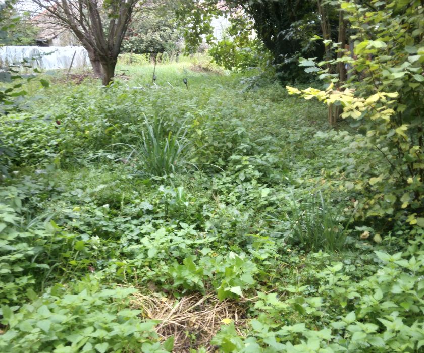 Grange avec garage et terrain