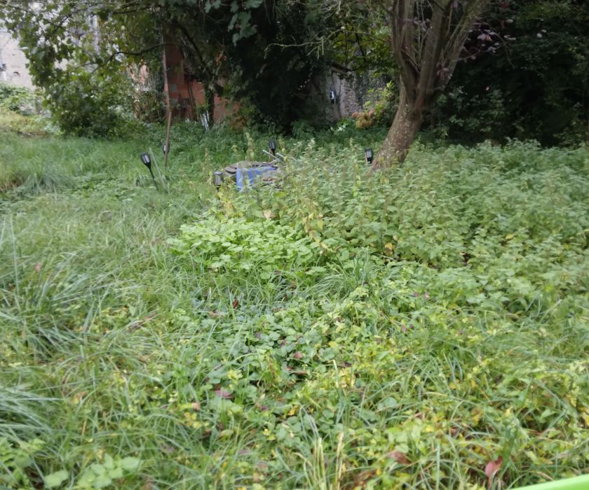 Grange avec garage et terrain
