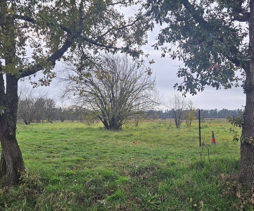 Terrain à bâtir plat de 2860m²