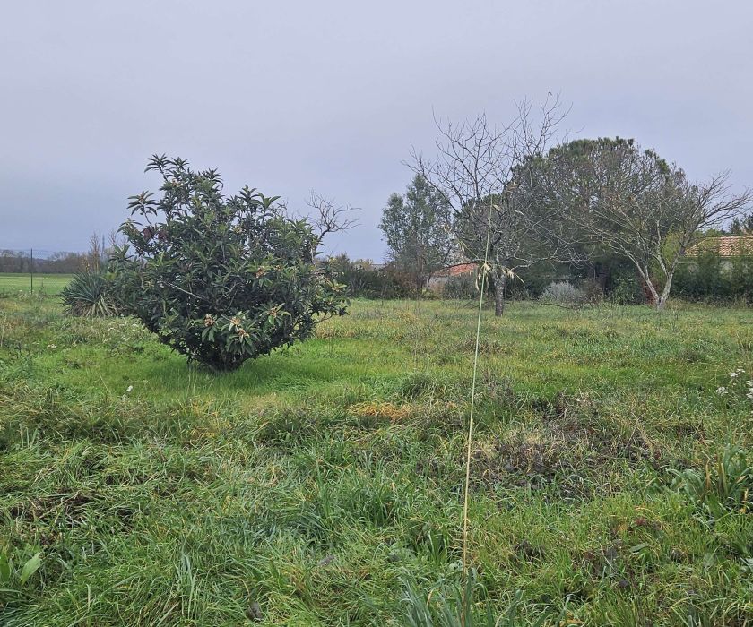 Terrain à bâtir plat de 1478m²
