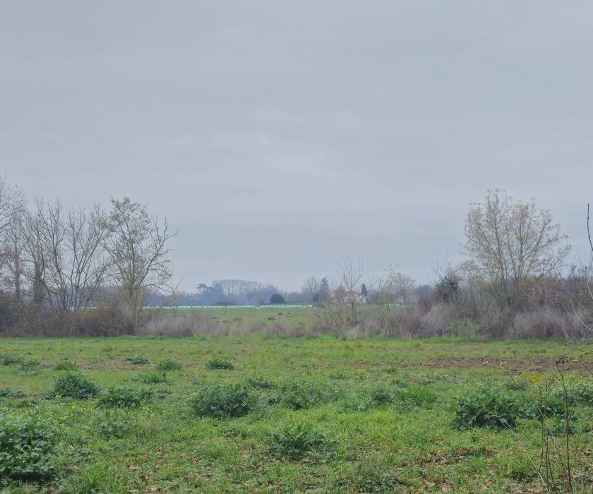 Terrain agricole de 5 hectares
