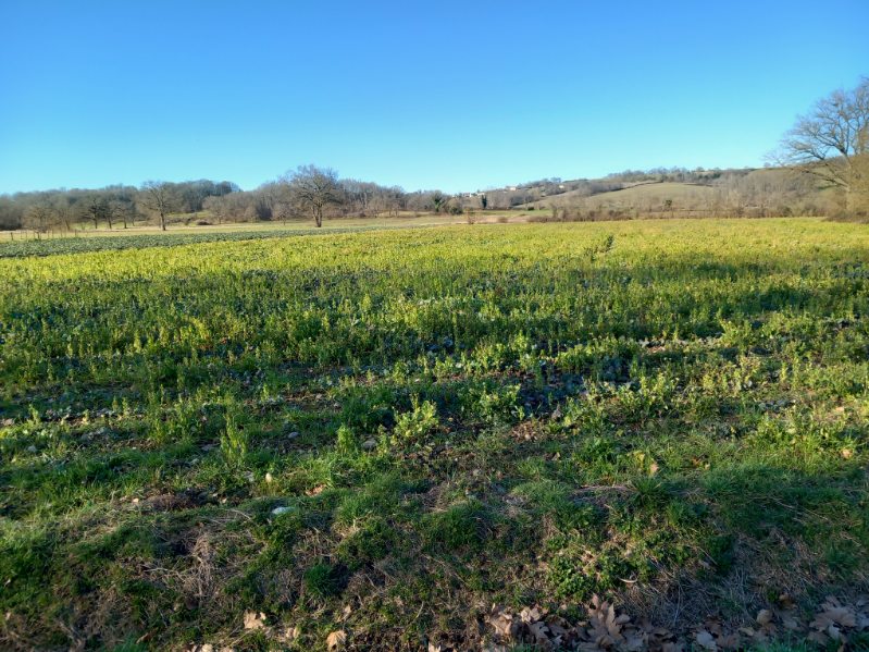 Terrain agricole plat 18000 m²