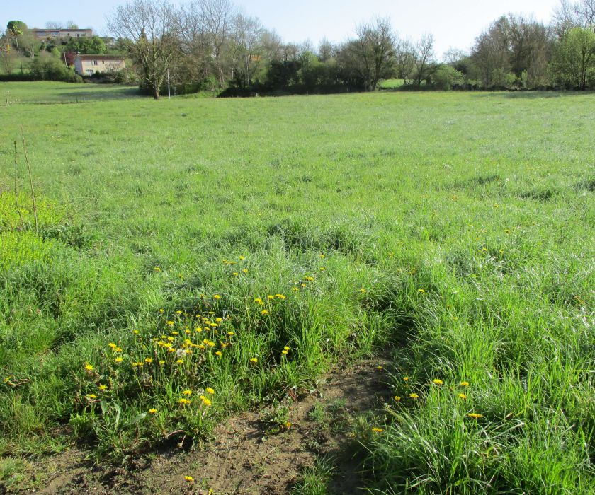 Terrain constructible avec grange