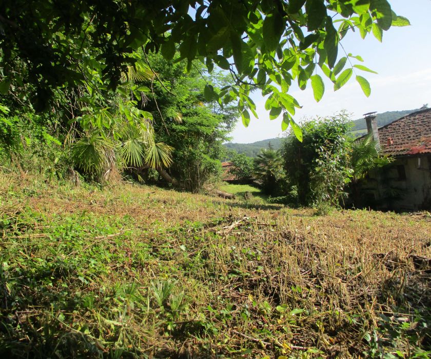 Maison avec garage et terrain