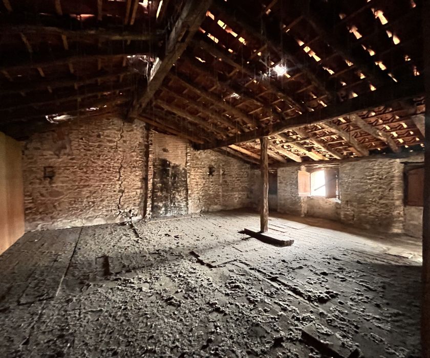 Grande maison à vendre – Spécial investisseur