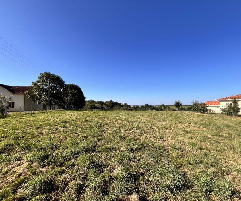 À vendre : terrain 2 385 m² avec vue panoramique sur les Pyrénées – 88 000 €