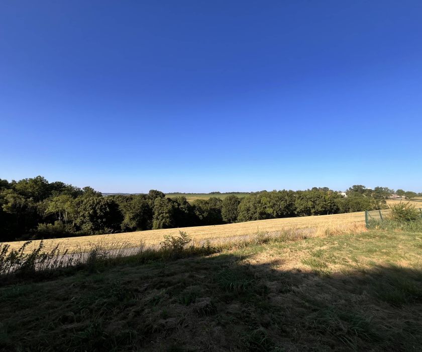 À vendre : terrain 2 385 m² avec vue panoramique sur les Pyrénées – 88 000 €