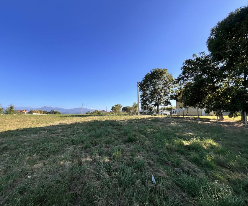 À vendre : terrain 2 385 m² avec vue panoramique sur les Pyrénées – 88 000 €