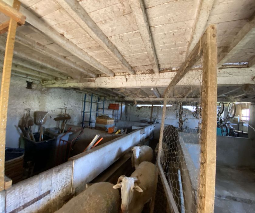 Commingeoise rénovée avec dépendances