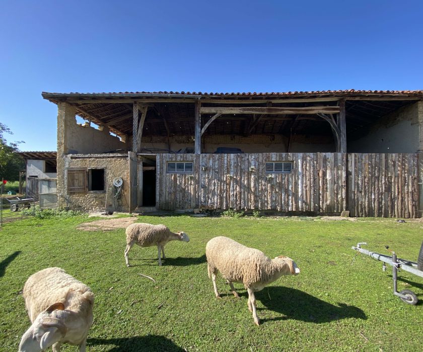 Commingeoise rénovée avec dépendances