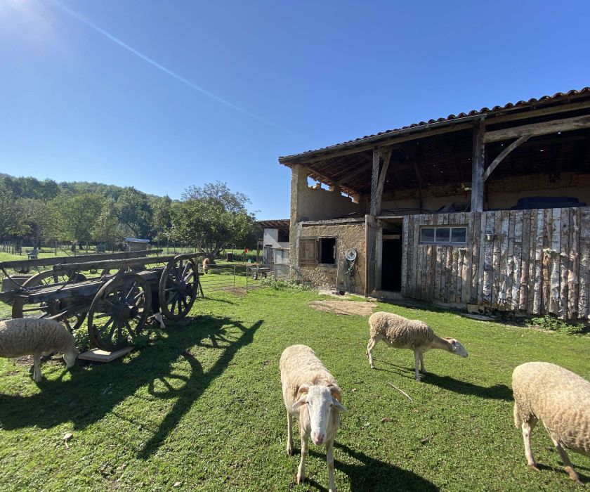 Commingeoise rénovée avec dépendances