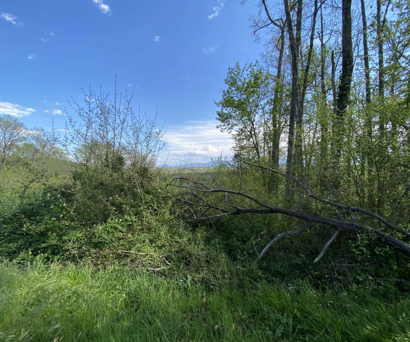 2 minutes A64 - Lestelle - Joli terrain à bâtir avec vue sur les Pyrénées