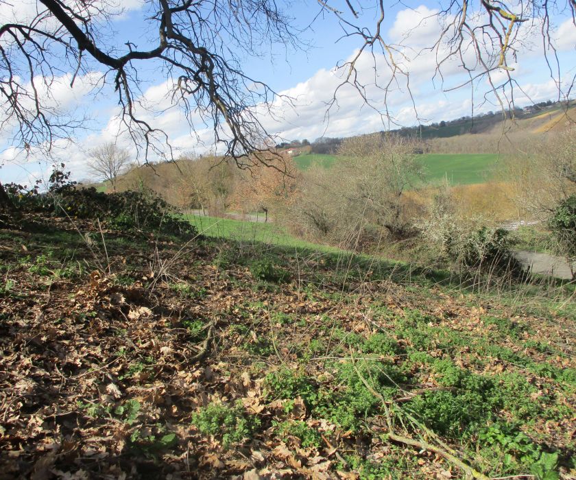 Terrain avec CU secteur Le Fousseret